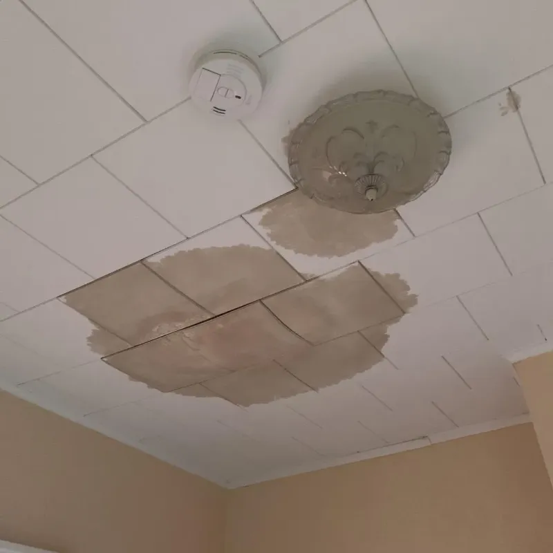 Ceiling Water Damage Repair in Town Line, NY